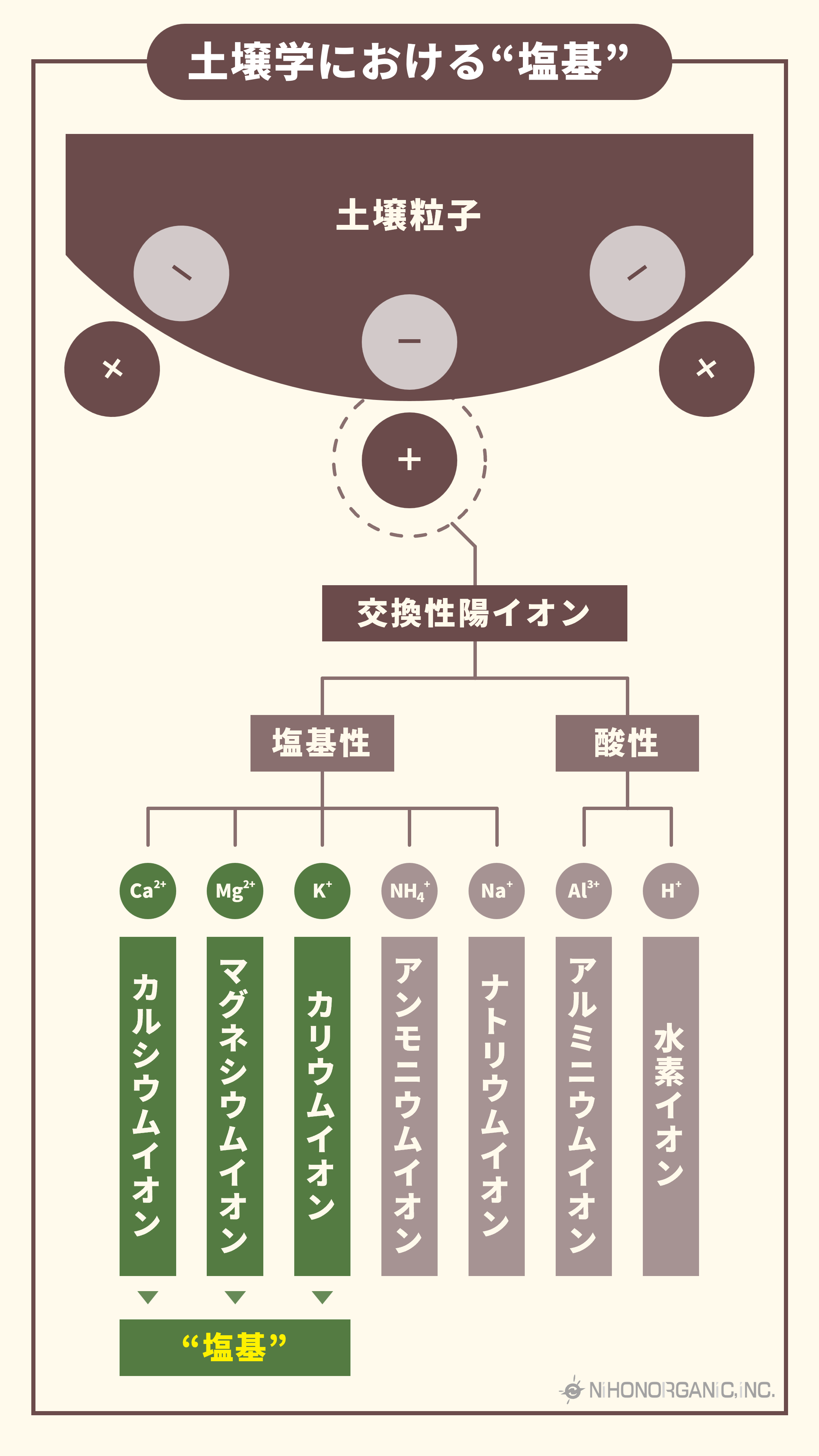 土壌学における"塩基"