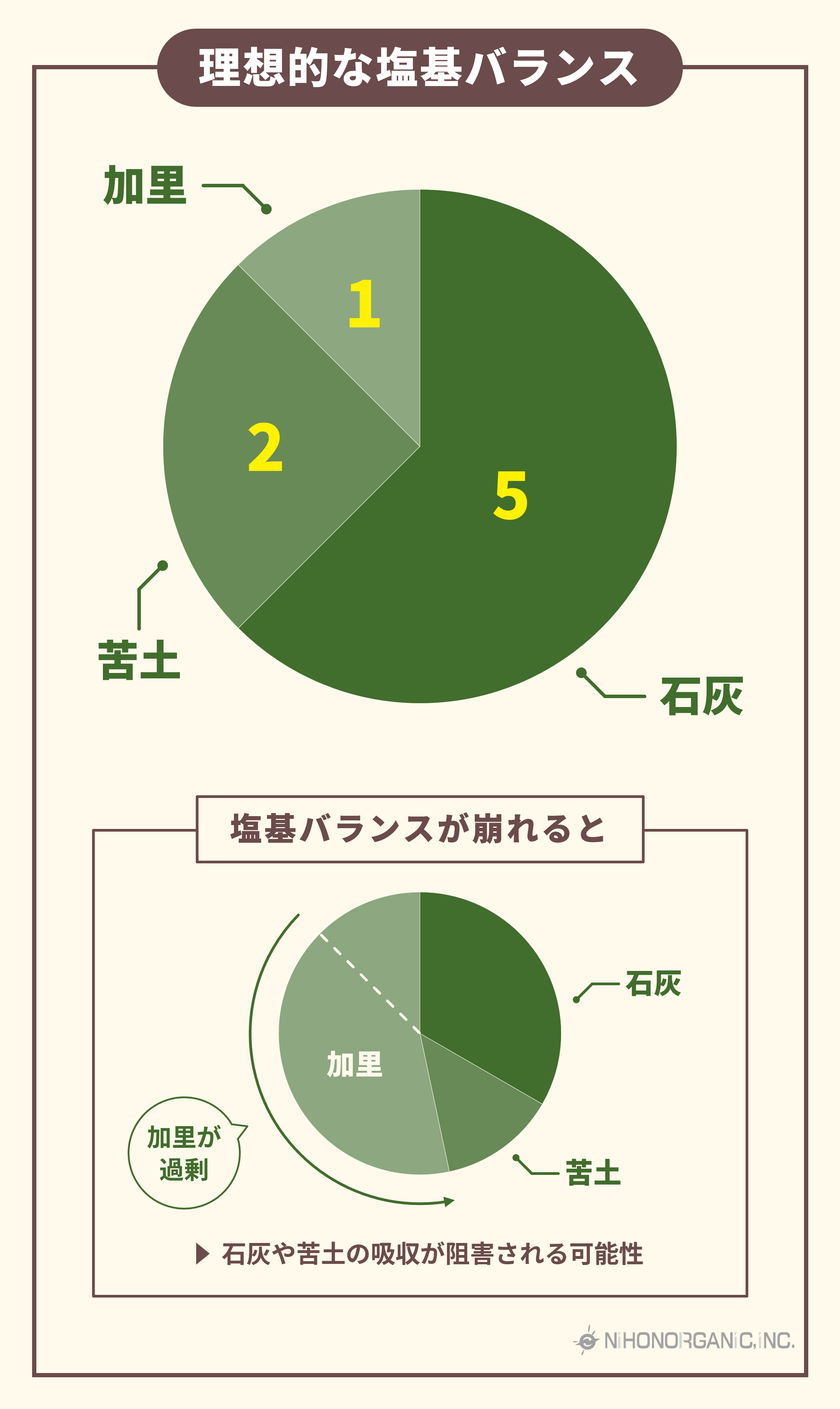 理想的な塩基バランス